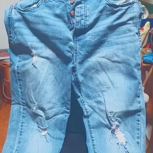 Celebrity Pink Jeans, Size 13/31